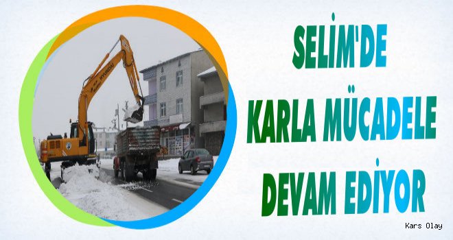 Selim'de Karla Mücadele Devam Ediyor