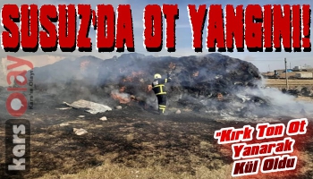 Susuz'da 40 Ton Ot Yanarak Kül Oldu!