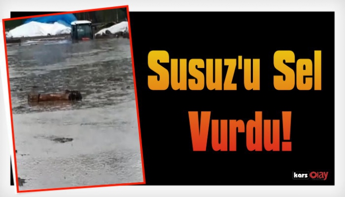 Susuz'u Sel Vurdu!