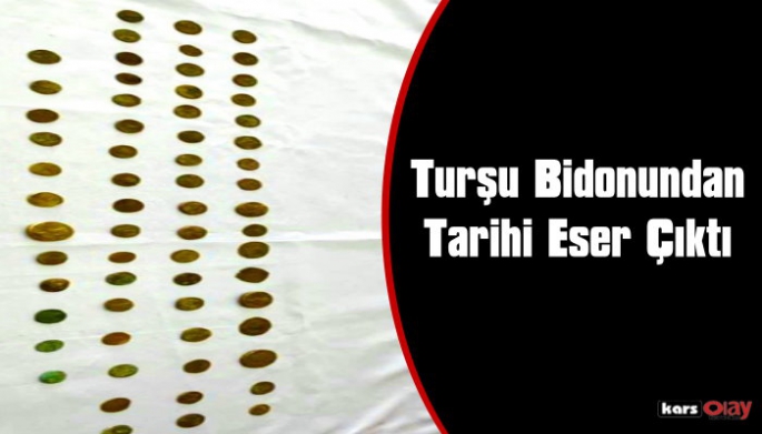 Turşu Bidonundan Sasani ve Grek Dönemine Ait Tarihi Eserler Çıktı