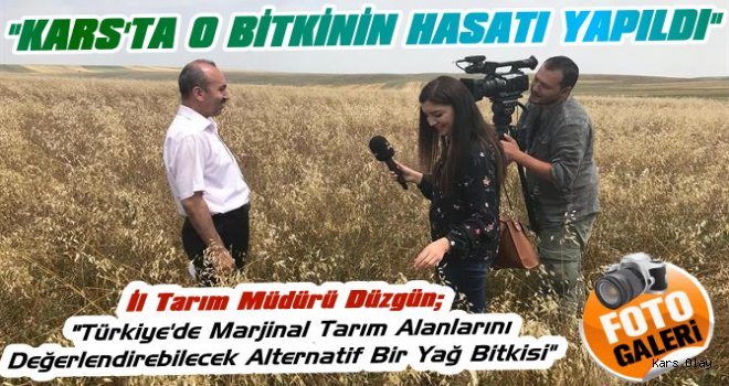 Uçakların Jet Yakıtında Kullanılan Bitki Ketencik'in Hasatı Yapıldı