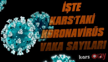 Vali Öksüz Kars'taki Koronavirüs Sayılarını Açıkladı