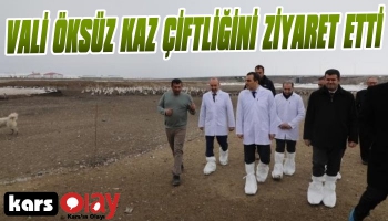 Vali Öksüz Kaz Çiftliğinde İncelemede Bulundu