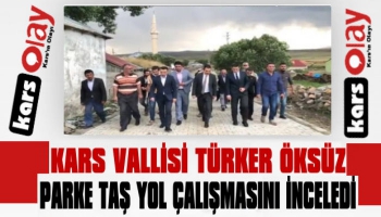 Vali Öksüz Parke Yol Çalışmalarını Denetledi