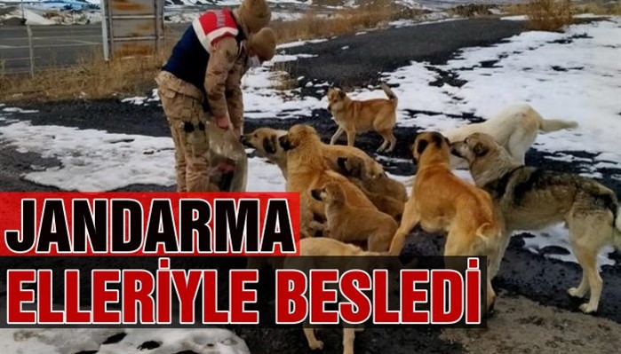 JANDARMA SOKAKTAKİ DOSTLARIMIZI UNUTMADI